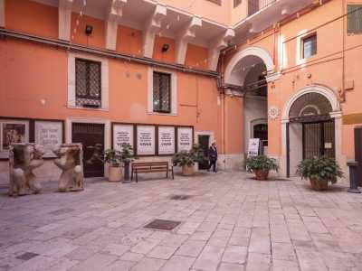 A questo proposito si sta lavorando all�allestimento di spazi per la lettura, come ad esempio il cortile antistante la vecchia Tesoreria, reso pi� accogliente con l�installazione di panchine e alcune piante 